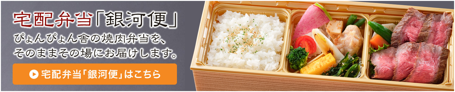 宅配弁当「銀河便」